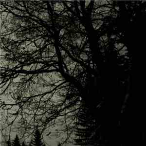 Wehmutshall - Demo