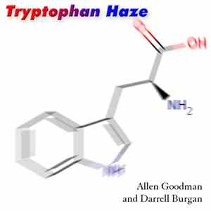 Allen Goodman And Darrell Burgan - Tryptophan Haze