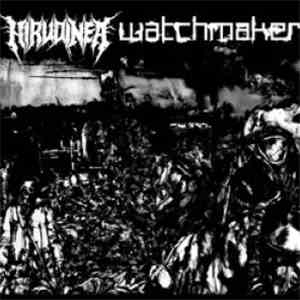 Hirudinea / Watchmaker  - Split