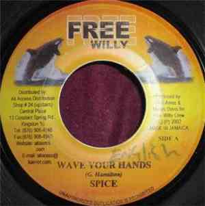 Spice  / Wayne Marshall & Vybz Cartel - Wave Your Hands / New Generation