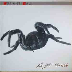 Adrian's Wall - Caught In The Web