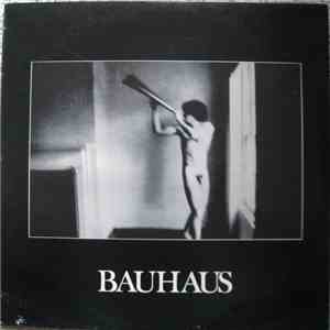 Bauhaus - In The Flat Field