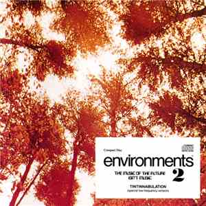 No Artist - Environments (Tintinnabulation - Special Low Frequency Version  ...
