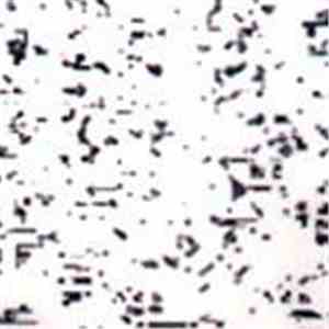 Nuisance Beacon - Nuisance Beacon