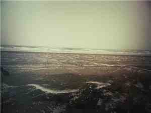 Coastlands - Denton Winter Demos
