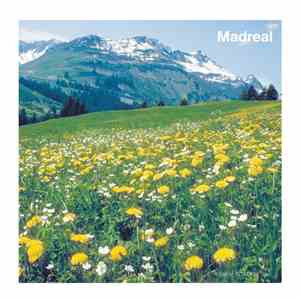 Madreal - Madreal