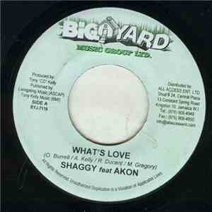 Shaggy Feat Akon - What's Love