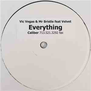 Vic Vegas & Mr. Bristle Feat. Velvet - Everything