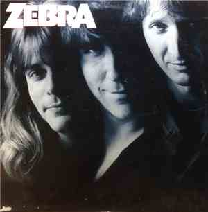 Zebra  - Zebra
