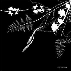 Digitaline - Rubicube