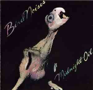Midnight Oil - Bird Noises