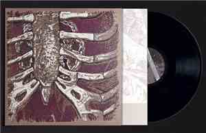 Nut - Babylon