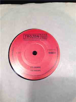 The Treetops - It's Raining