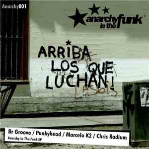 Br Groove / Punkyhead / Marcelo K2 / Chris Radium - Anarchy In The Funk EP