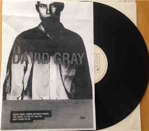 David Gray - Birds Without Wings