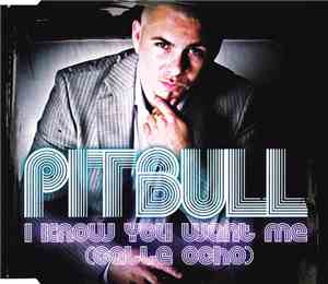 Pitbull - I Know You Want Me (Calle Ocho)