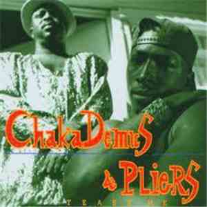 Chaka Demus & Pliers - Tease Me