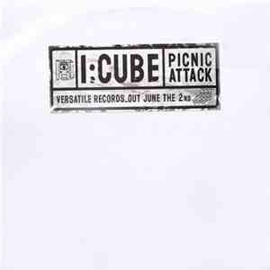 I:Cube - Picnic Attack