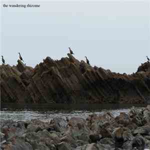 Patrick Farmer - The Wandering Rhizome