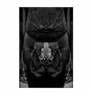 Giuseppe Ielasi - 15tapes