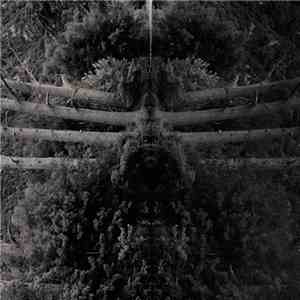 Membrane - Reflect Your Pain