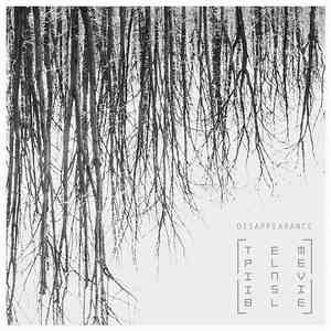Temple Invisible - Disappearance