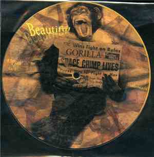 Beautiful  - Gorilla