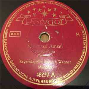 Bayernkapelle Heinrich Wehner - Schwarze Amsel / Russel - Pussel