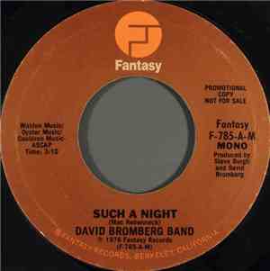 David Bromberg Band - Such A Night
