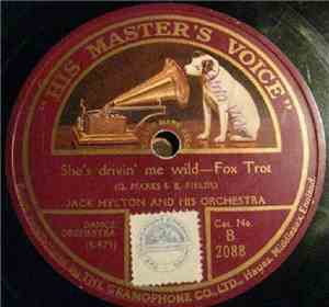 Jack Hylton And His Orchestra - She's Driving Me Wild / Babetta