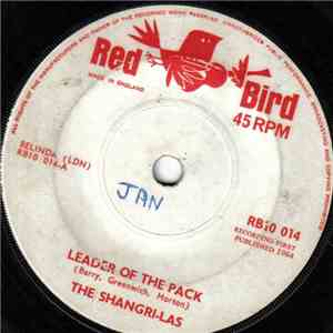 The Shangri-Las - Leader Of The Pack
