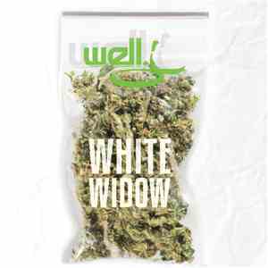 Well. J - White Widow
