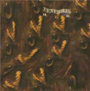 Tenebris - Only Fearless Dreams