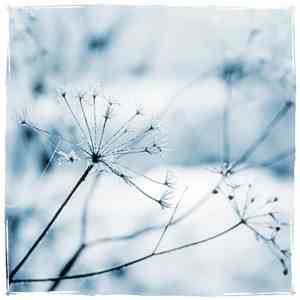 Ars Sonor & Co. - Crystallized (The Annual Report)