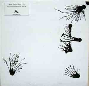 James Machin / Steve Pittis - Potential Transitions Jan / Feb 96