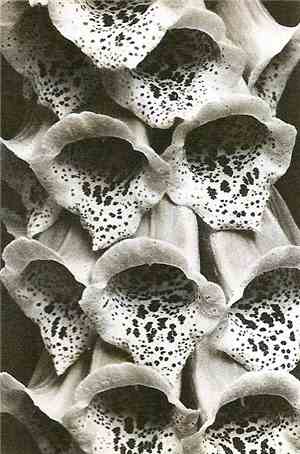 Marble Sky - The Sad Return