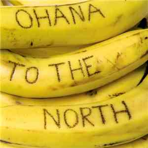 Ohana  / To The North - Ohana / To The North 7