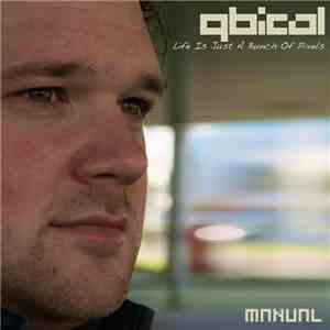 Qbical - Life Is Just A Bunch Of Pixels