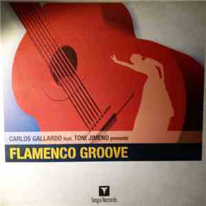 Carlos Gallardo Feat Toni Jimeno - Flamenco Groove