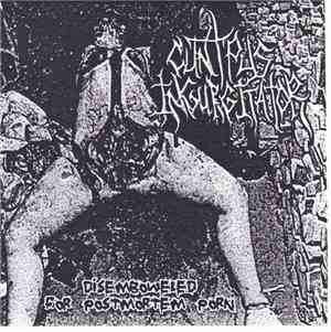 Cunt Pus Ingurgitator - Disemboweled For Postmortem Porn