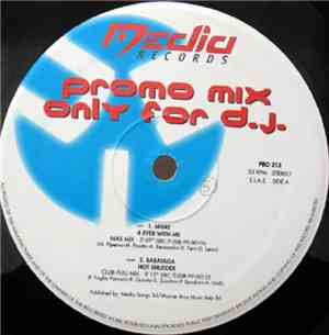 Various - Promo Mix 213