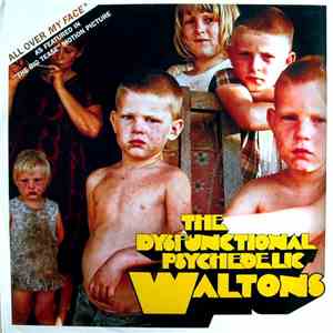 The Dysfunctional Psychedelic Waltons - All Over My Face