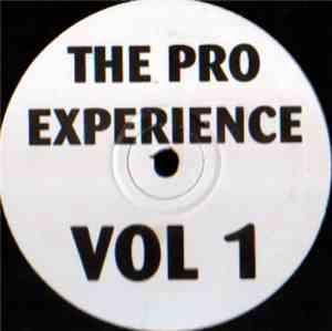 Unknown Artist - The Pro Experience Vol. 1