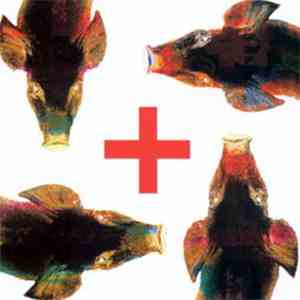 Prozac + - Testa Plastica