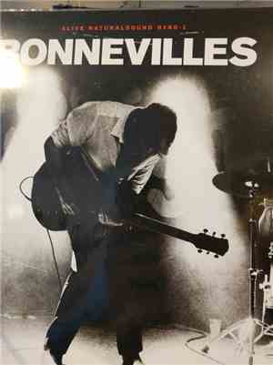 The Bonnevilles  - Arrow Pierce My Heaet