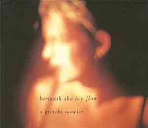 Various - Beneath The Icy Floe - A Projekt Sampler