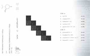 Mint  - Corruption