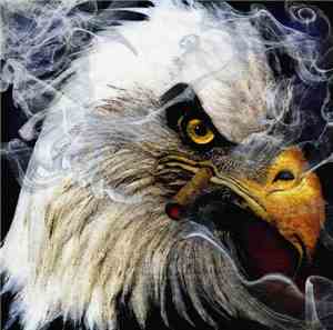 Smoking Bird - Survivors