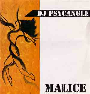 DJ Psycangle - Is Stupid When