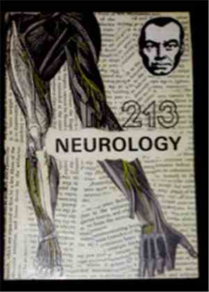 N.213 - Neurology